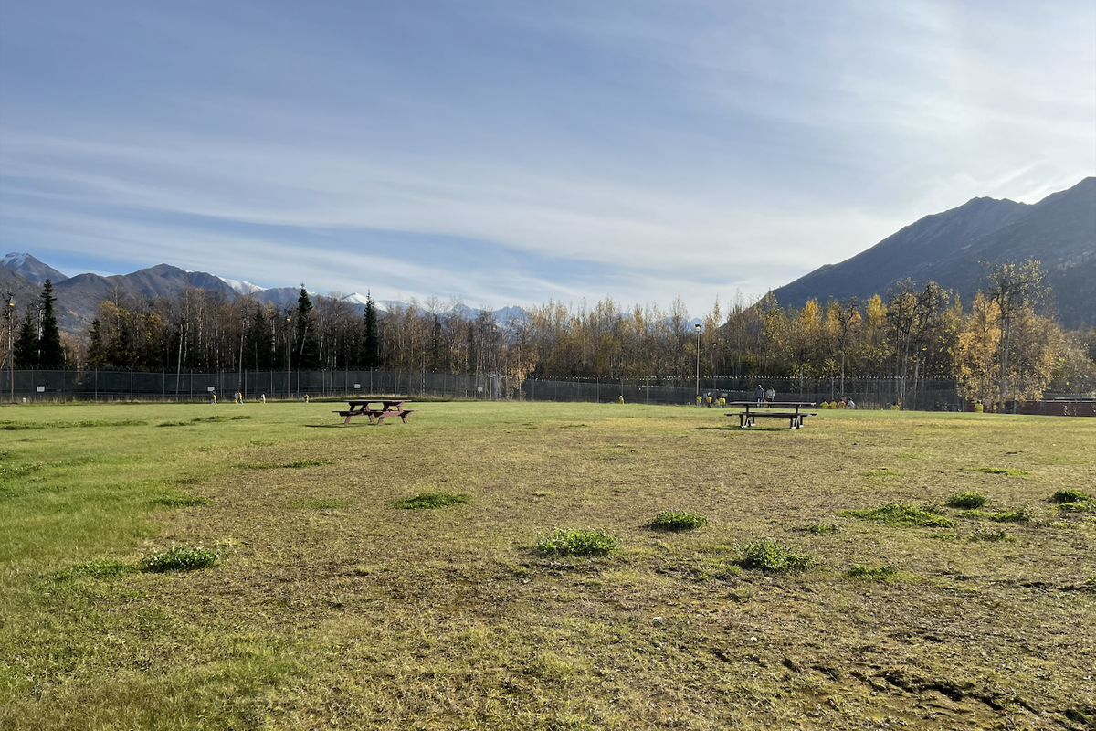 A large grass yard with a couple of picnic tables with a fence around the perimeter and trees and mountains in the background