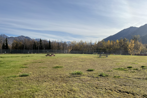 A large grass yard with a couple of picnic tables with a fence around the perimeter and trees and mountains in the background